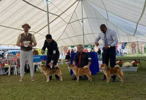 Especializada 2022 — Foto 2